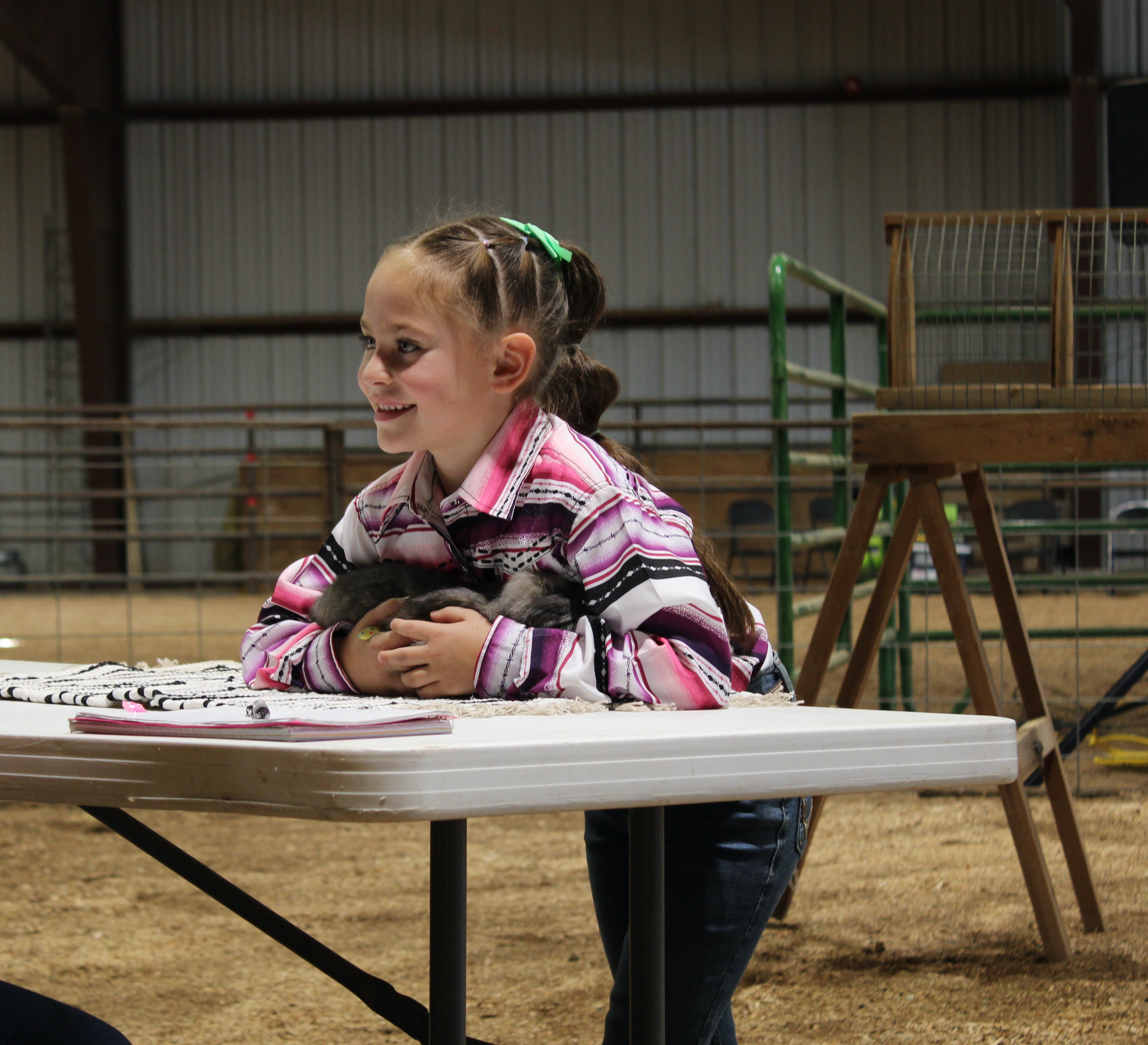 Taos County Fair 2024 Jr Livestock Show Judging-Juan I. Gonzales Agricultural Center-Taos, NM